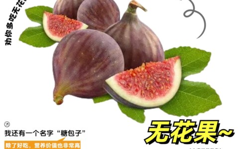 旋腹花归经功效作用禁忌症-旋腹花归经功效作用禁忌网- 旋腹花归经功效作用禁忌是什么知识,分享旋复花性味归经与功效作用