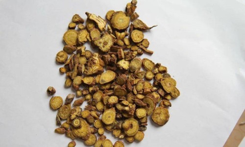 旋腹花归经功效作用禁忌网- 旋腹花归经功效作用禁忌是什么知识,分享旋复花性味归经与功效作用