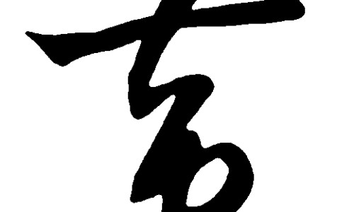 旋腹花归经功效作用禁忌是什么-旋腹花归经功效作用禁忌网- 旋腹花归经功效作用禁忌是什么知识,分享旋复花性味归经与功效作用