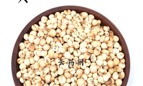 旋腹花归经功效作用禁忌网- 旋腹花归经功效作用禁忌是什么知识,分享旋复花性味归经与功效作用